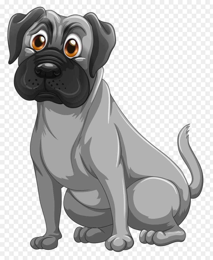 Puppy Bulldog Pug Stock Photography Vector Graphics PNG