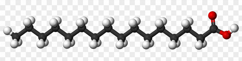 Stearic Acid Fatty Molecule Saturated Fat PNG