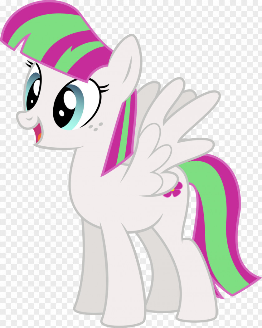 Accompany My Little Pony Rainbow Dash Twilight Sparkle Rarity PNG