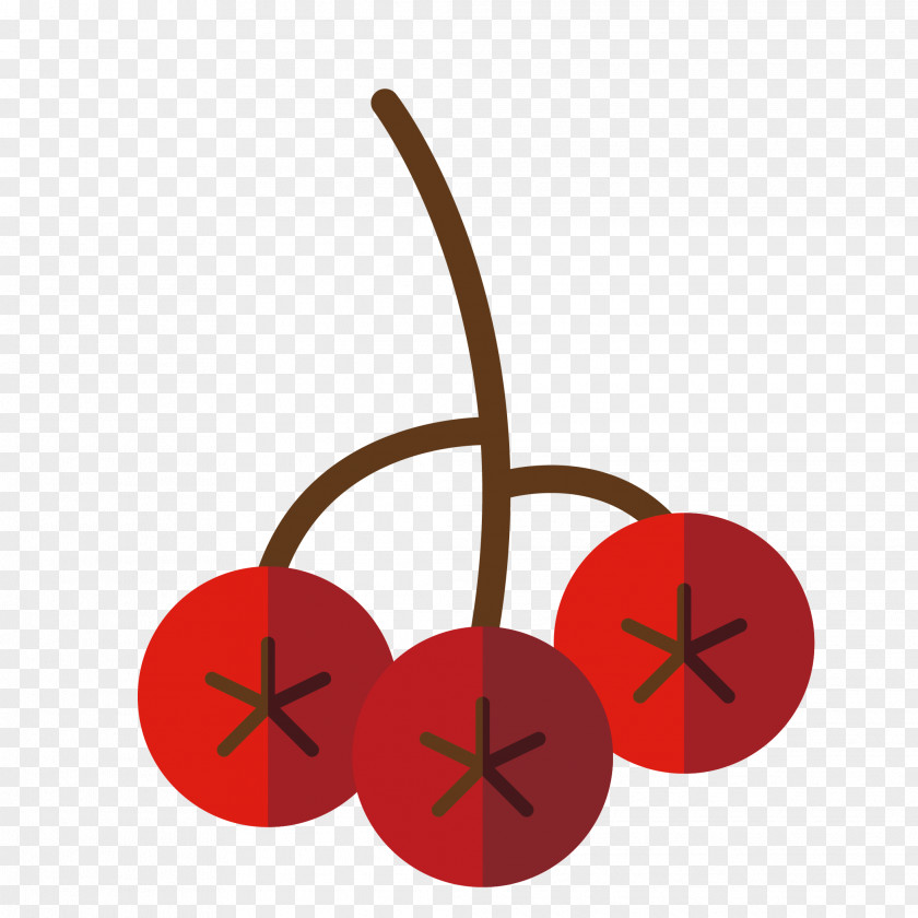 Cherry Decoration Vecteur Clip Art PNG