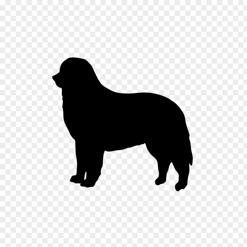 Dog Silhouette Breed Malinois Belgian Shepherd German Dutch PNG