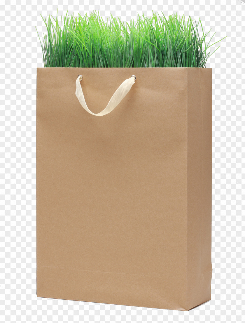 Environmentally Friendly Kraft Paper Bags Shopping Bag PNG