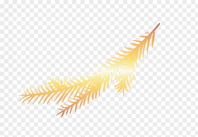 Golden Feather Material Gradient Euclidean Vector PNG