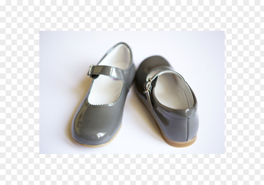 Mary Jane Sandal Shoe PNG