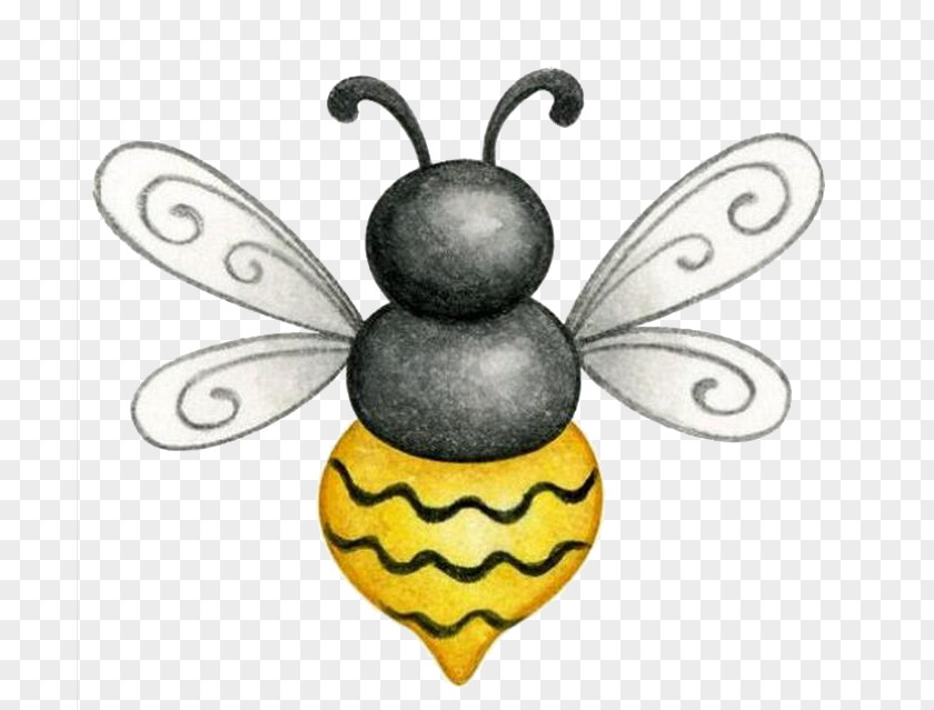 Bee Honey Drawing Photography Insect PNG