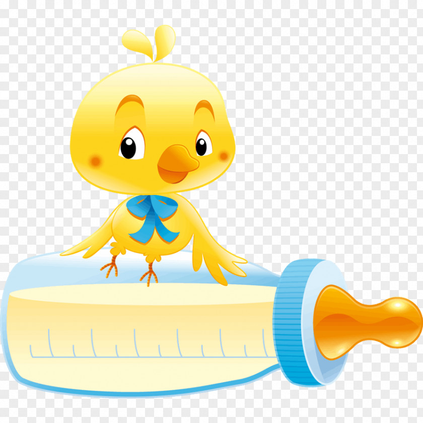 Chicken Swans Baby Bottles Child Infant PNG