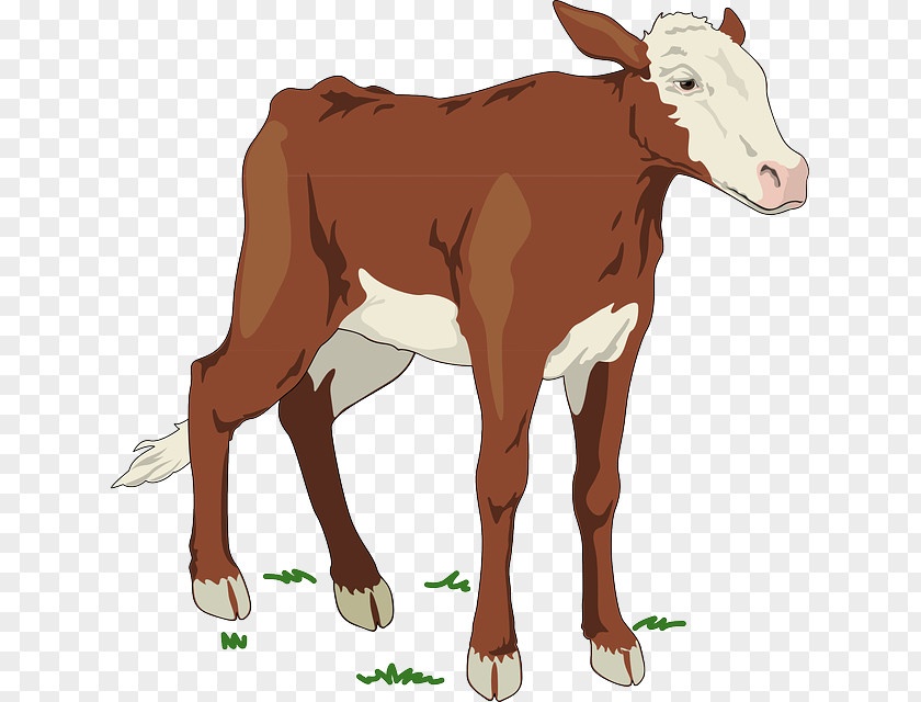 Cow Farm Brown Swiss Cattle Holstein Friesian Ayrshire Jersey Clip Art PNG