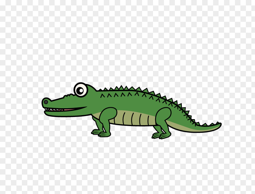 Crocodile Alligators Turtle Clip Art PNG