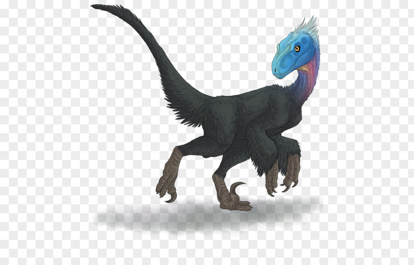 Dinosaur Velociraptor Deinonychus Bambiraptor Reptile PNG