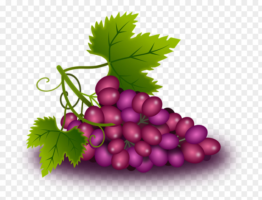 Grape Common Vine Wine Leaves PNG