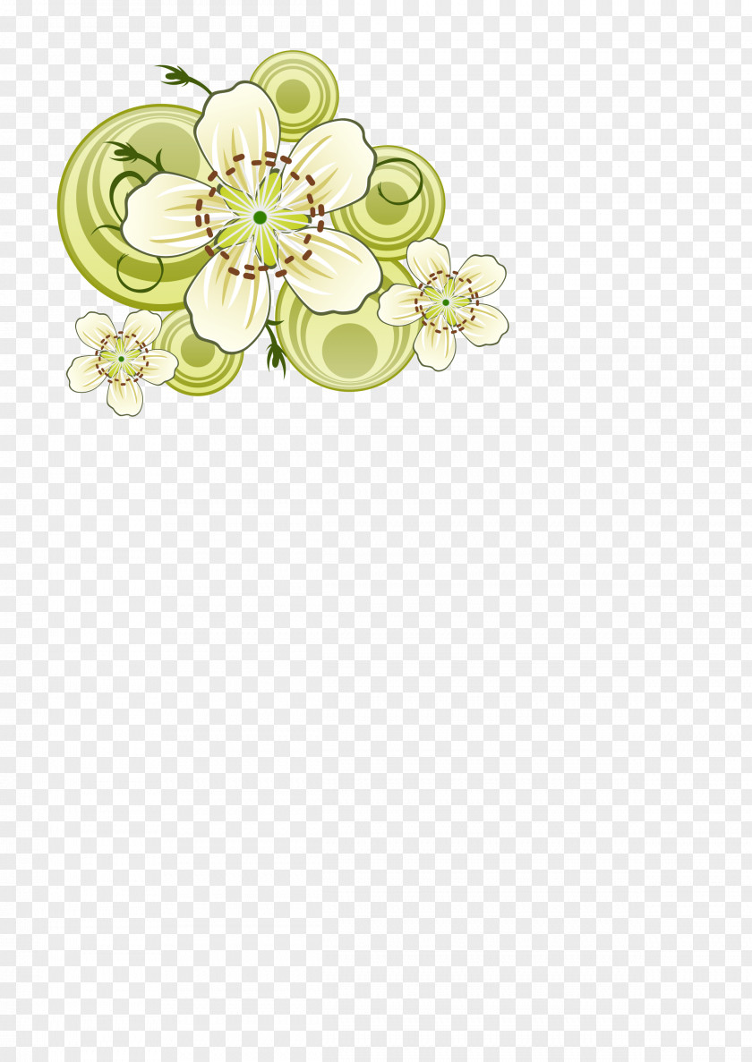 Flower Cut Flowers Floral Design PNG