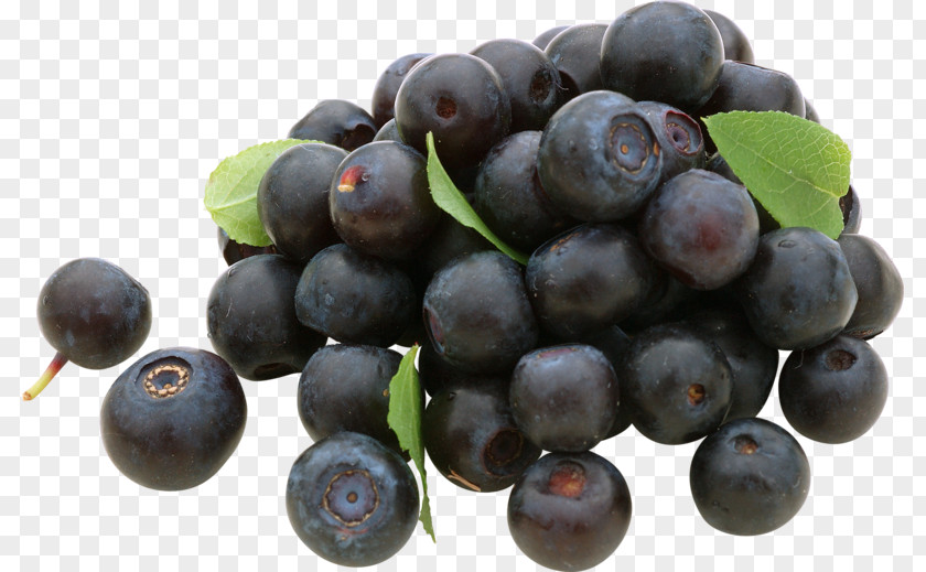 Grape Blueberry Tea Bilberry Huckleberry PNG