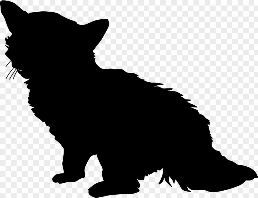 Kitten Somali Cat Silhouette Photography Black PNG