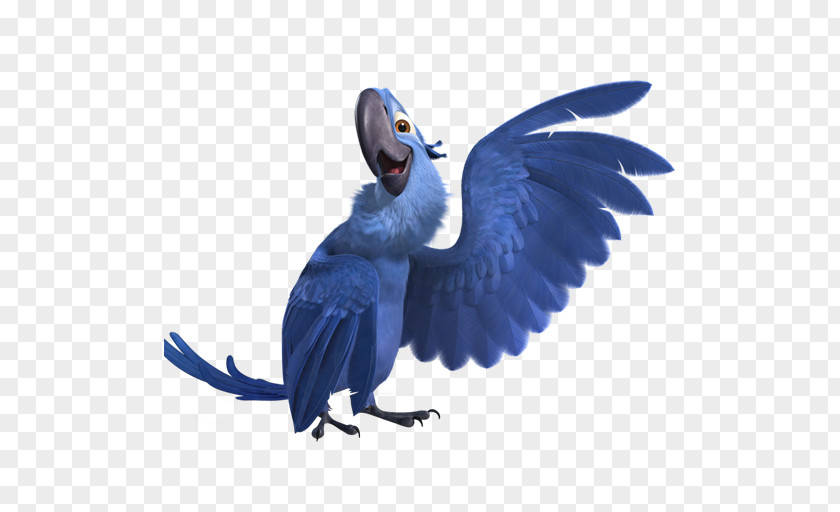 Rio2 Blu 3 Macaw Parrot Bird Common Pet Parakeet PNG