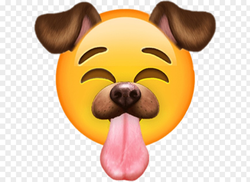 Snap Filters Emoji Dog Snapchat Sticker Information PNG