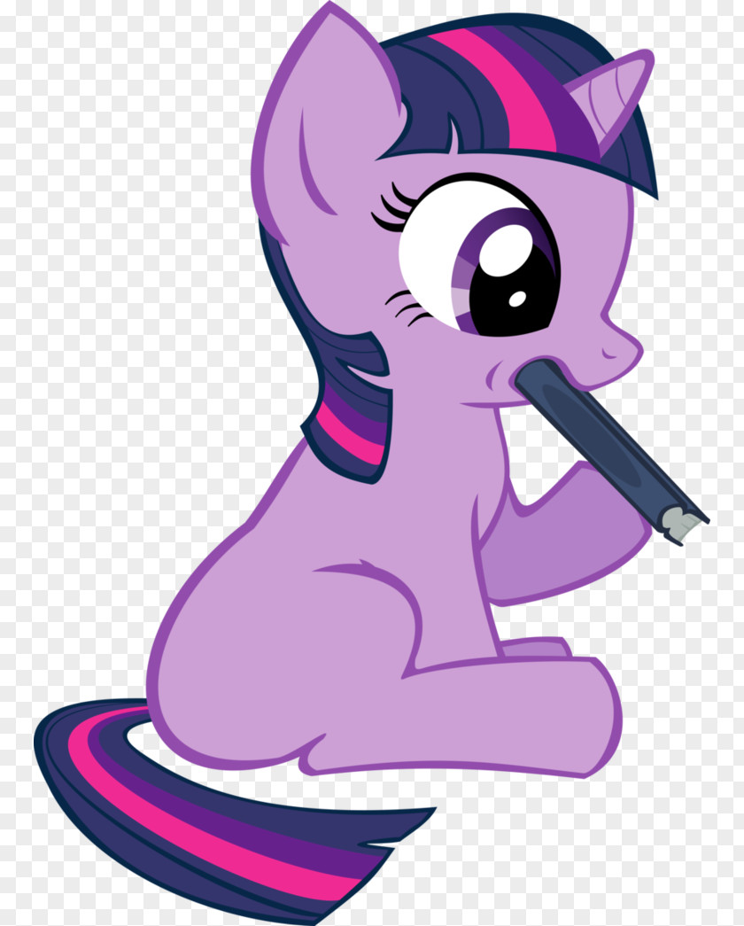 Sparkle Twilight Pony Pinkie Pie Princess Cadance Rarity PNG