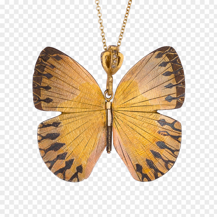 Butterfly Birdwing Moth Ornithoptera Goliath Necklace PNG
