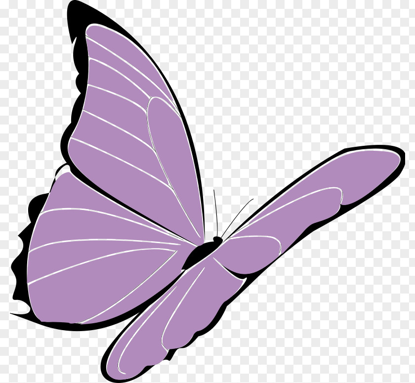 Papillon Cliparts Butterfly Purple Violet Clip Art PNG