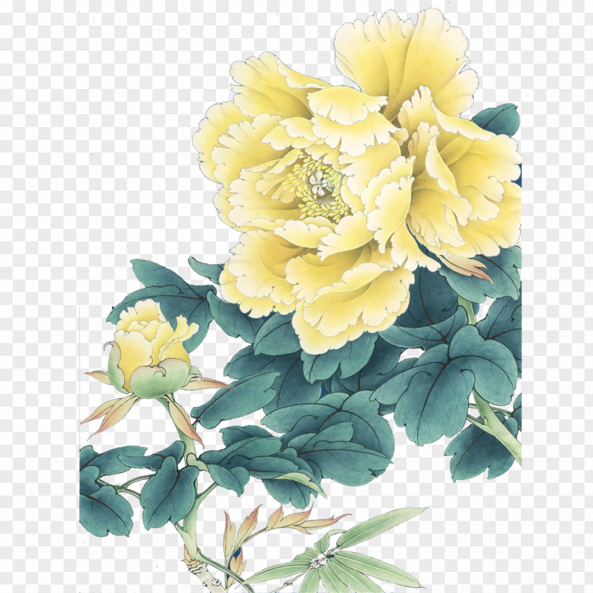 Peony Luoyang Gongbi Moutan Chinese Painting PNG