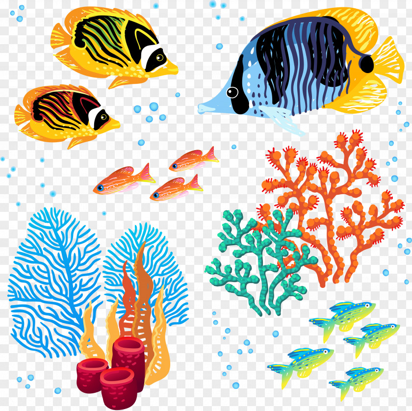 Sea Coral Reef Marine Biology PNG