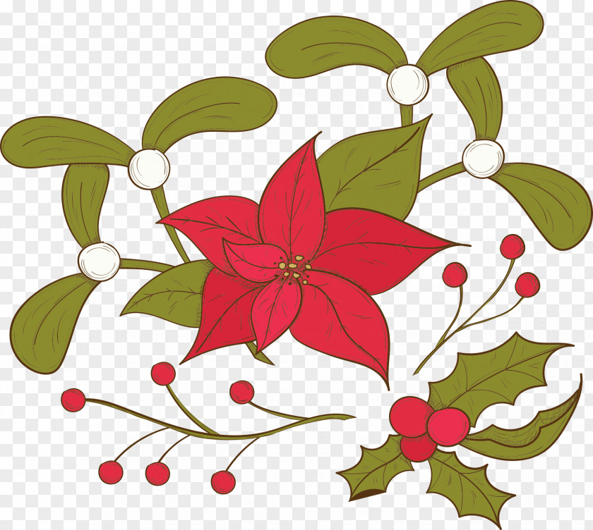 Vector Christmas Foliage And Flowers Poinsettia Flower PNG