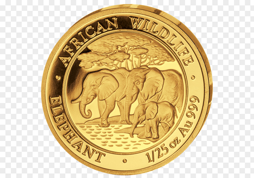 Gold Somalia Bullion Coin Silver African Elephant PNG