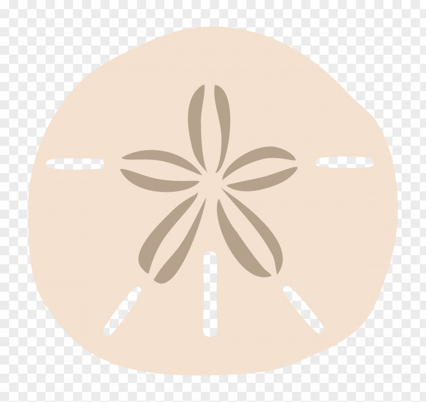 Info Sand Dollar Drawing Clip Art PNG