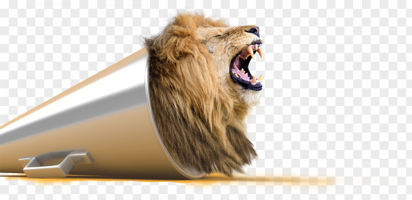 Roar Lion Visual Perception Creativity Subliminal Stimuli PNG