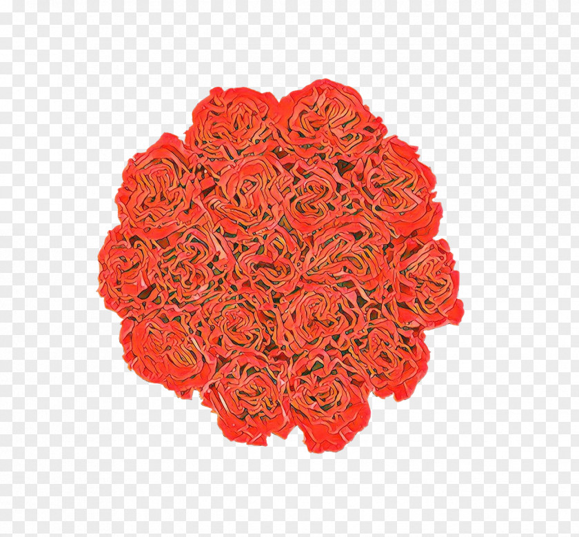 Coquelicot Cut Flowers Orange PNG