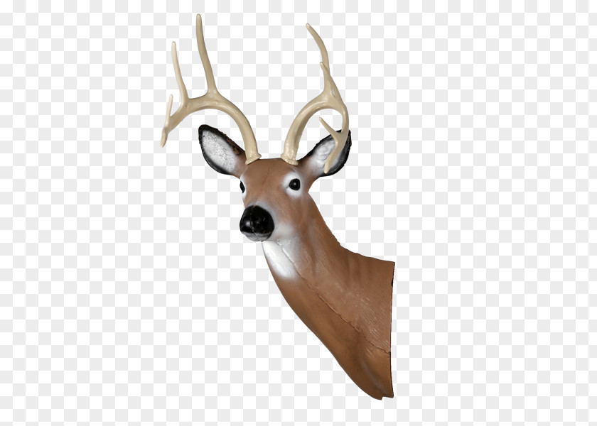 Deer Head White-tailed Shooting Target Archery Arrow PNG