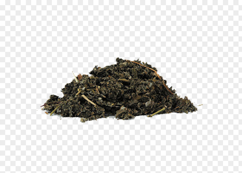 Dry Parsley Herb Soil Green Tea Chun Mee Compost PNG