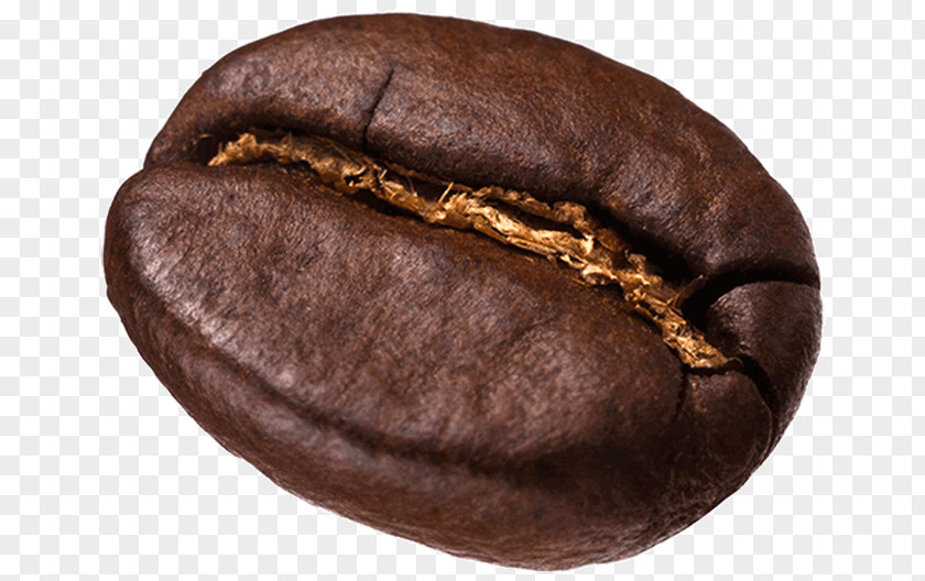 Fresh Coffee Chocolate-covered Bean Kopi Luwak Espresso Cafe PNG
