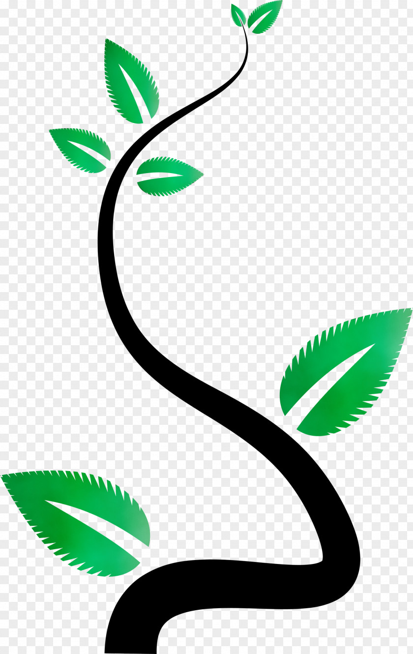 Plant Stem Leaf Green Line Area PNG