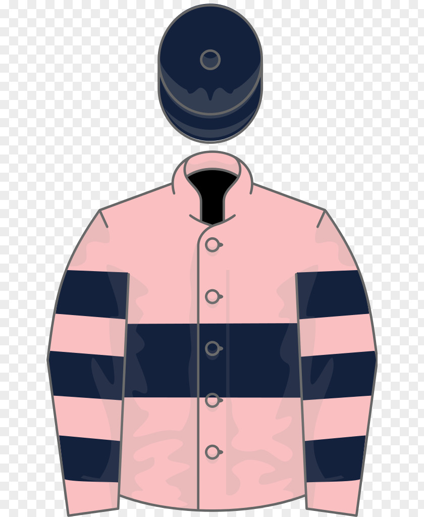 Thoroughbred Nechells Epsom Derby Oaks Lingfield Trial PNG