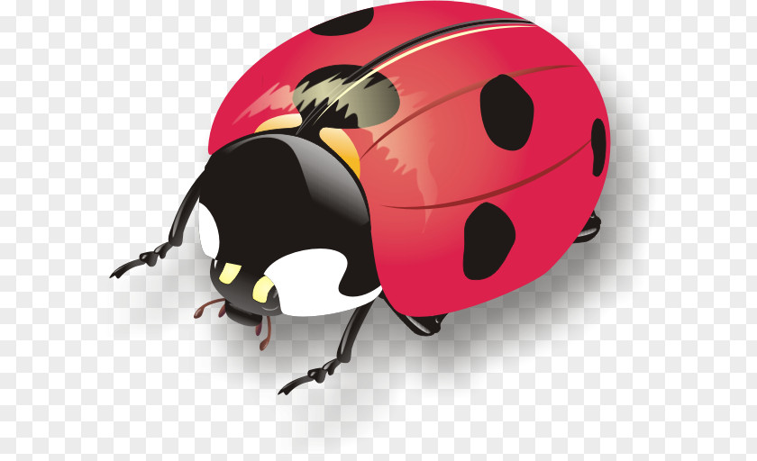 Bicycle Helmets Ladybird Beetle Ski & Snowboard PNG