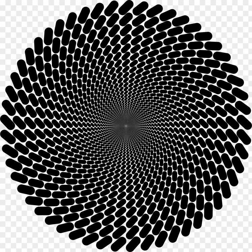 Circle Fraser Spiral Illusion Rotation Concentric Objects PNG