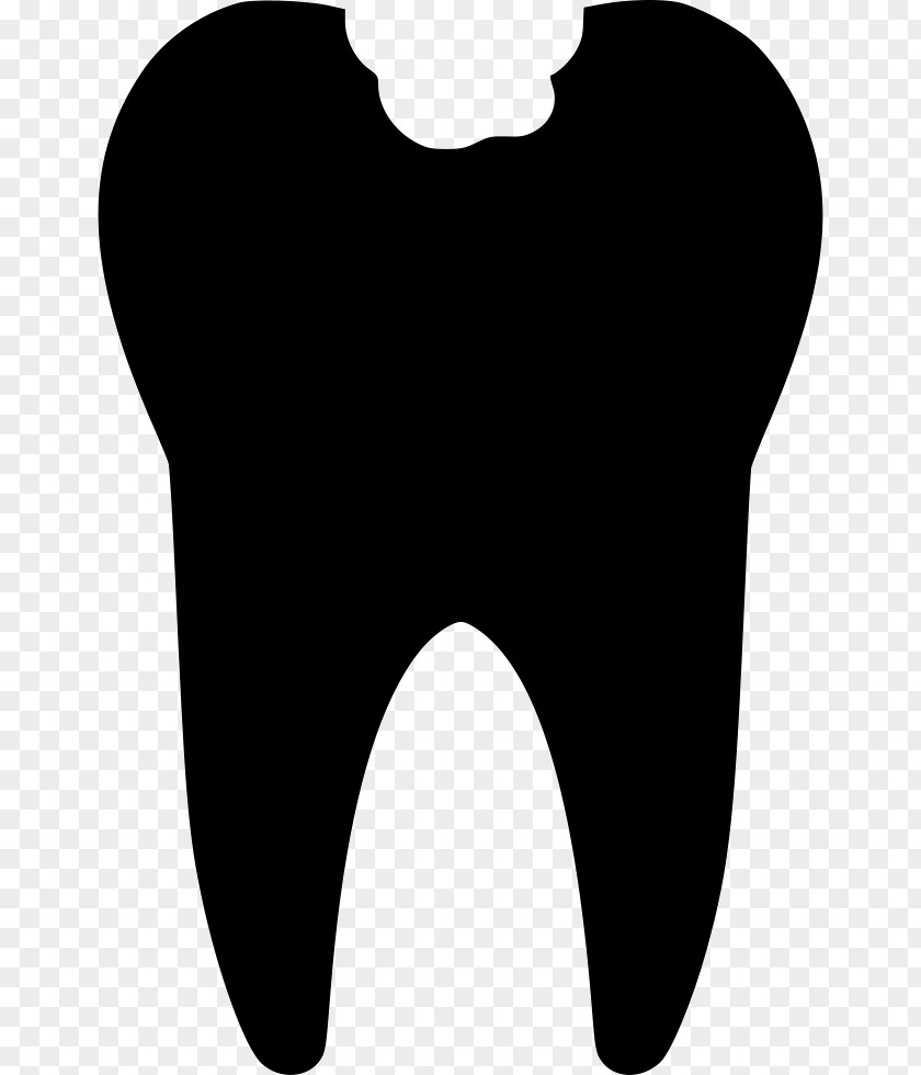 Dentistry Clip Art PNG