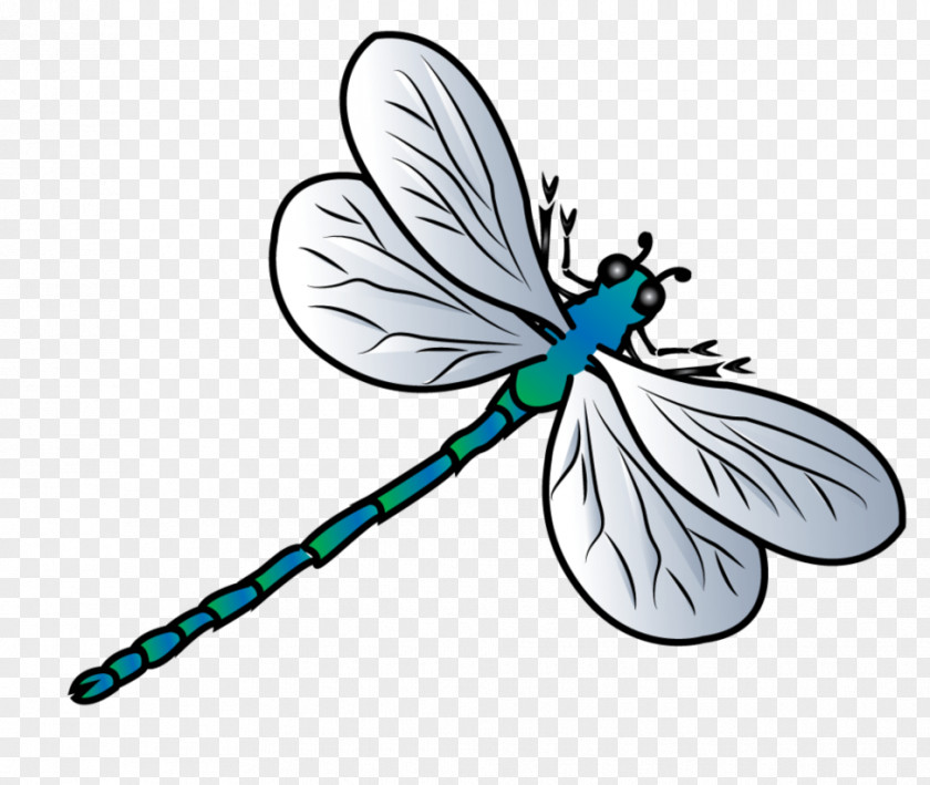 Dragonfly Butterfly Clip Art PNG