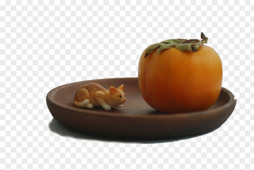 Persimmon And Cats Icon PNG