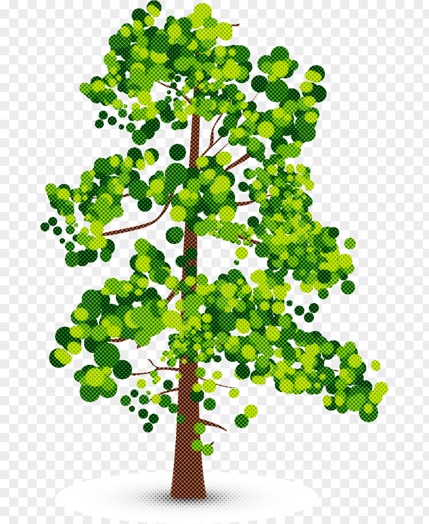 Plant Tree Green Flower Leaf PNG