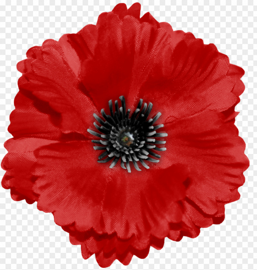 Red Poppy Remembrance Armistice Day Barrette Flower PNG