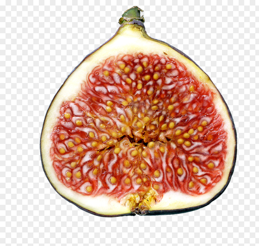 Adam Eve Accessory Fruit Christmas Ornament Natural Foods Superfood PNG