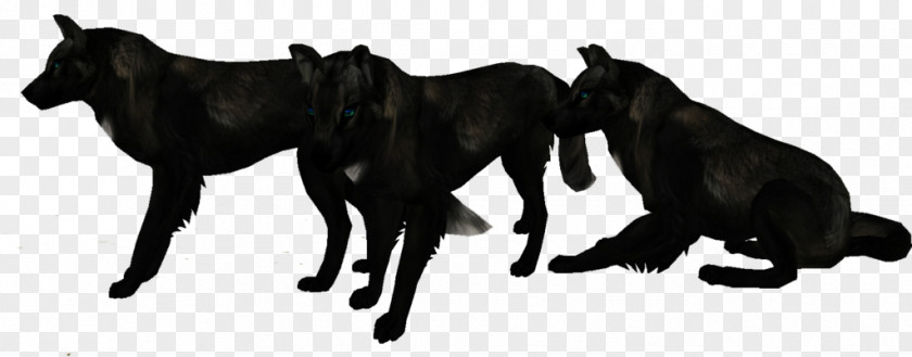 Blackwolf Dog Black Wolf Fur Arctic PNG