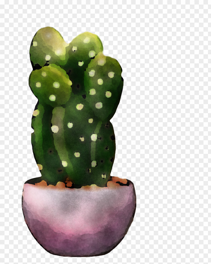 Cactus PNG