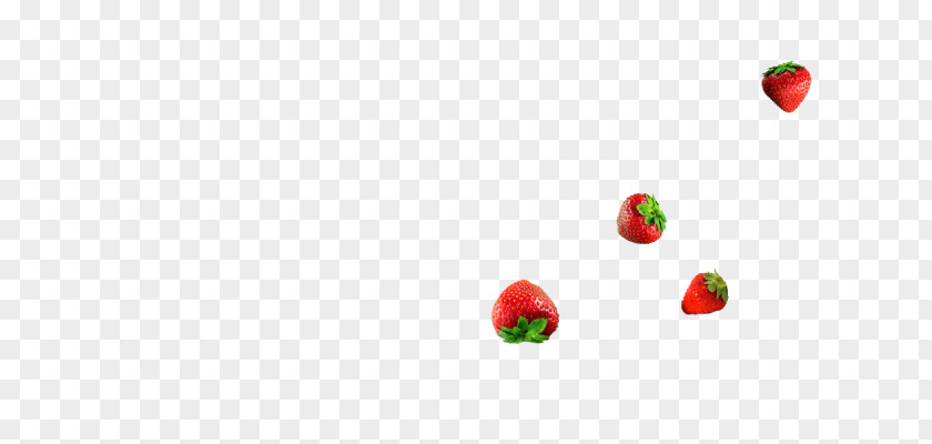 Computer Desktop Wallpaper Close-up Fruit Font PNG