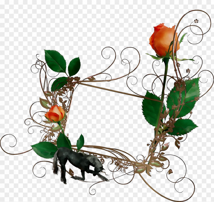 Floral Design Rose Family Branching PNG