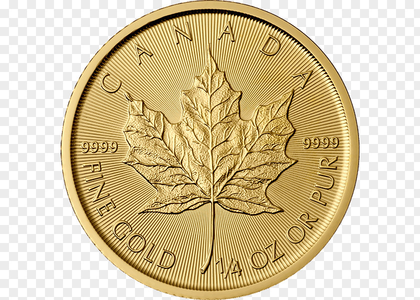 Gold Canadian Maple Leaf Bullion Coin Silver PNG