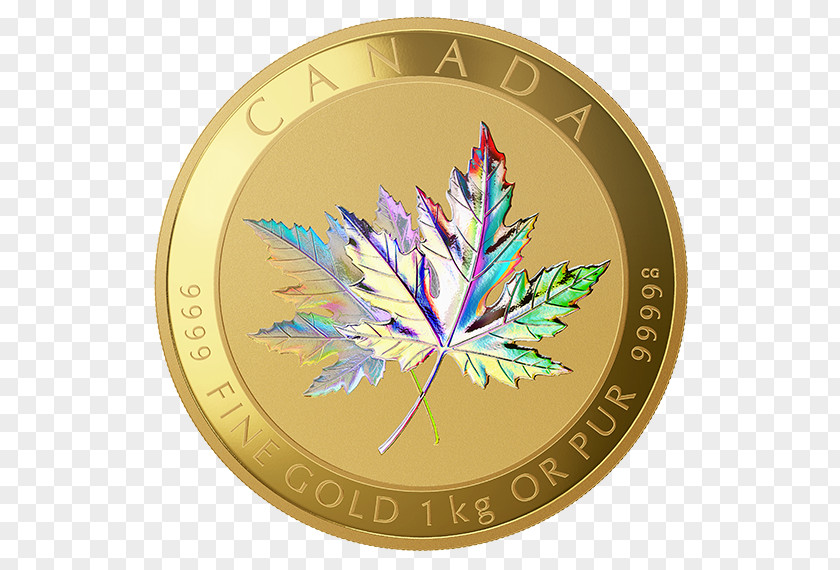 Hologram Canada Canadian Gold Maple Leaf Coin PNG