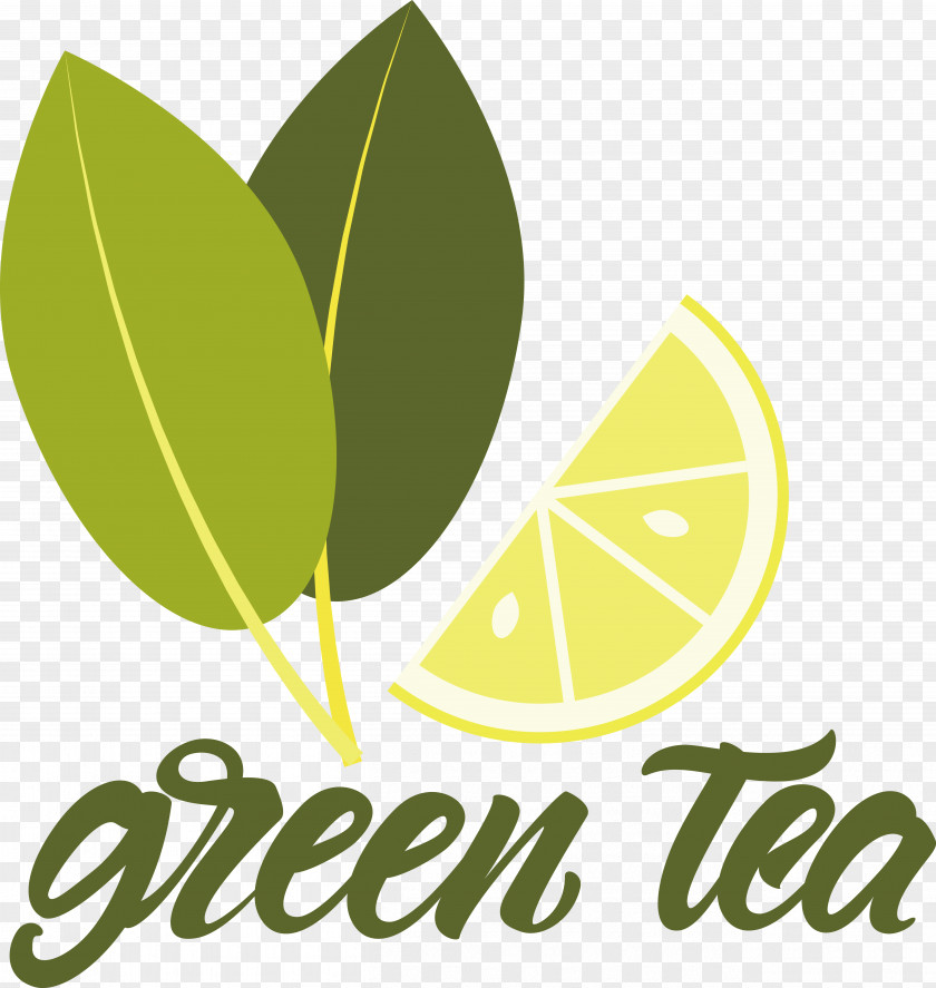 Leaf Logo Font Line Fruit PNG