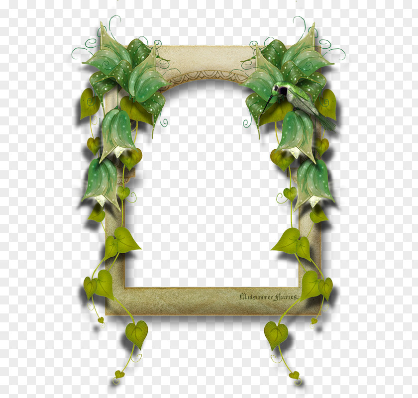 Plant Clip Art PNG